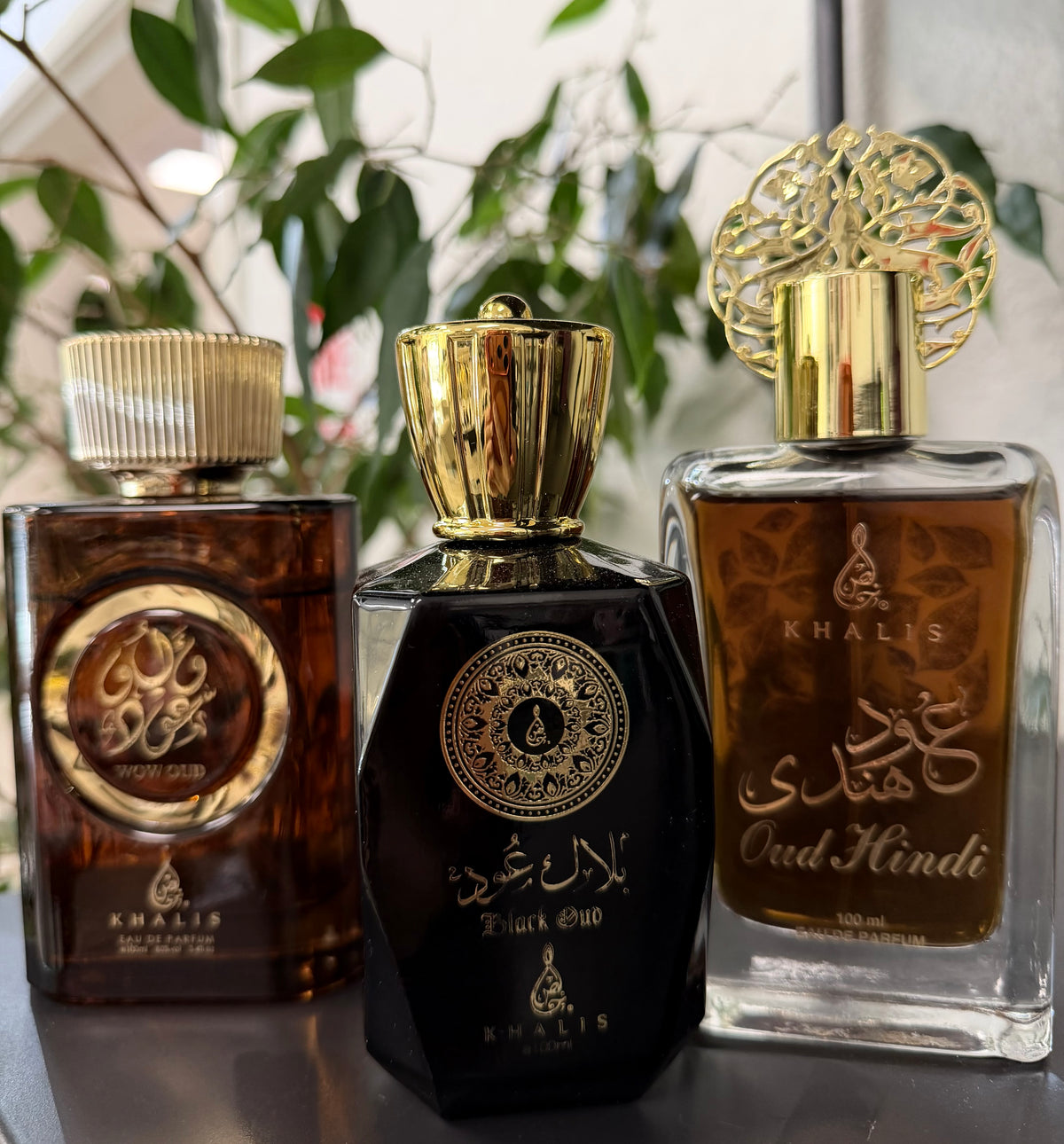 Winter Oud Trio: Wow Oud, Black Oud &amp; Oud Hindi